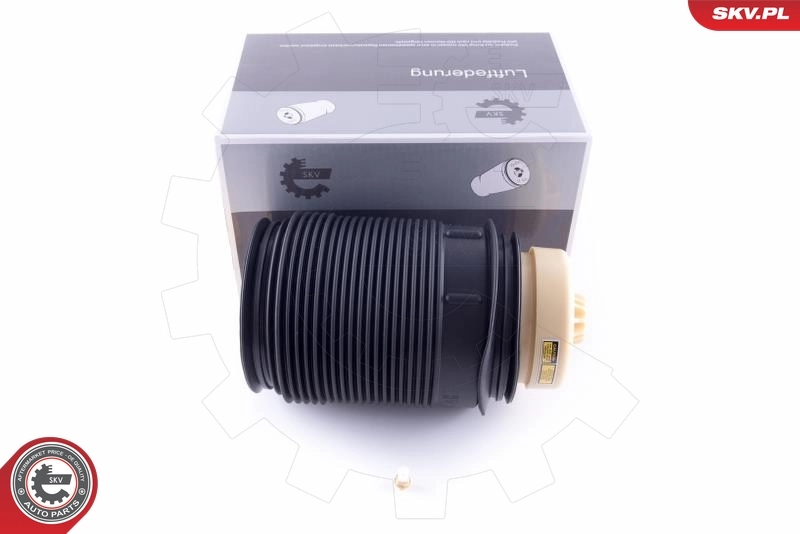 Air Spring, suspension